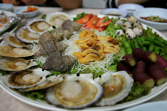 사용자 삽입 이미지