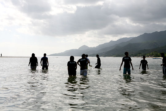 사용자 삽입 이미지